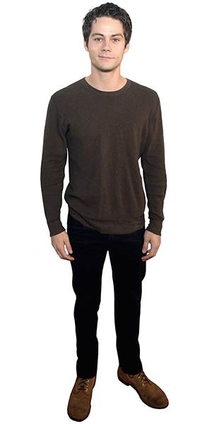 kartonová postava v životní velikosti Dylan O'Brien