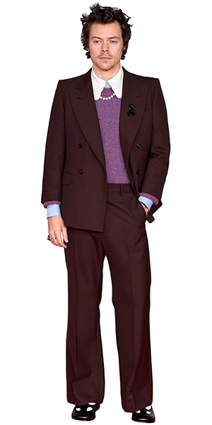 kartonová postava v životní velikosti Harry Styles (One Direction)