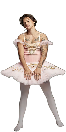 kartonová postava v životní velikosti Harry Styles